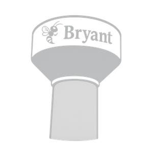 Bryant, Arkansas water tower